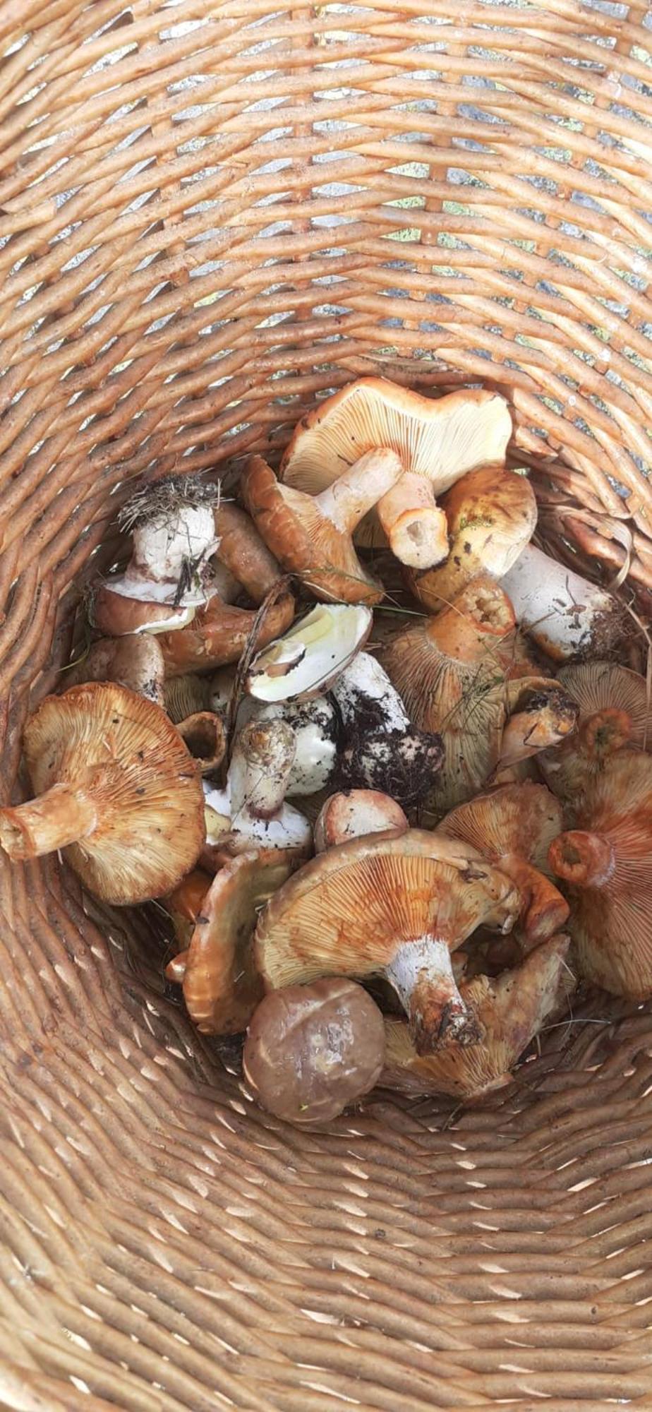 Chambres d hôtes familiales Chez Mémé Germaine Caramany Esterno foto